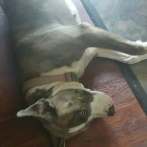 Meet your Posher, Kendra